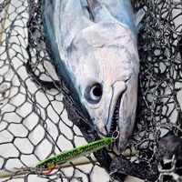 Savage Gear 3D Jig Minnows